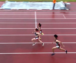 画像 -20251115-064556-99761fed